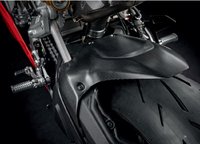 Ducati Panigale V2 Carbon Schutzblech hinten