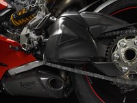 Ducati Panigale V2 Carbon Schwingenschutz