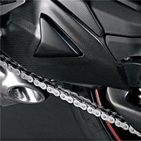 Ducati Panigale V2 Carbon Schwingenschutz