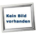 Triumph Trident 660 Silver Ice mit Schaltautomat aus 1.Hand mit nur 3.800Km