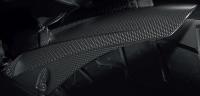 Ducati Multistrada 1200 S GT PP Carbon Schutzblech hinten glänzend