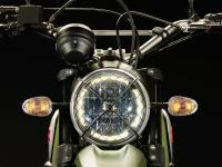 Ducati Scrambler 800 Lampenschutzgitter