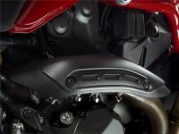 Ducati Monster Carbon Wärmeschutzabdeckungen